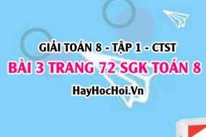 Giải bài 3 trang 72 Toán 8 Tập 1 SGK Chân trời sáng tạo